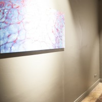 نمایشگاه عکس آلدو سلوچی در گالری ممیز افتتاح شد | عکس