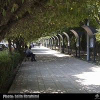 جشنواره هنرهای تجسمی نفس | نمایش محیطی عکس‌های سفیران اهدای عضو در باغ هنر | عکس