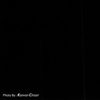 نمایش برنارد مرده است | گزارش تصویری تیوال از نمایش برنارد مرده است (سری دوم) / عکاس: کامران چیذری | عکس