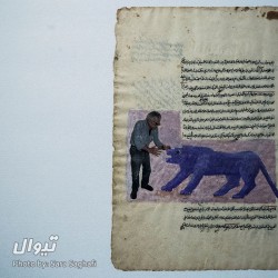 نمایشگاه پرویز تناولی و شیرهای ایران | عکس