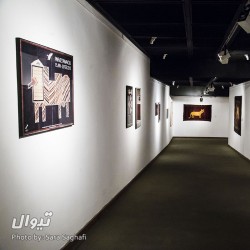 نمایشگاه پرویز تناولی و شیرهای ایران | عکس