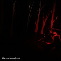 نمایش داستان باغ‌وحش | گزارش تصویری تیوال از نمایش داستان باغ وحش / عکاس: سمانه جویا | عکس