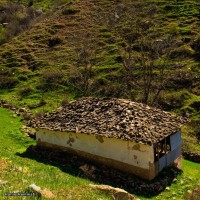 گردش یک سفر یک کتاب |هریجان - با مهسا ملک مرزبان| | سفرنامه «یک سفر یک کتاب |هریجان - با مهسا ملک مرزبان|» | عکس