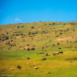 گردش یک سفر یک کتاب |هریجان - با مهسا ملک مرزبان| | عکس