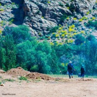 گردش یک سفر یک کتاب |دشت لزور با حسن همایون| | سفرنامه «یک سفر یک کتاب |دشت لزور با حسن همایون|» | عکس