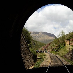 گردش راه آهن |ریل‌رو| | عکس