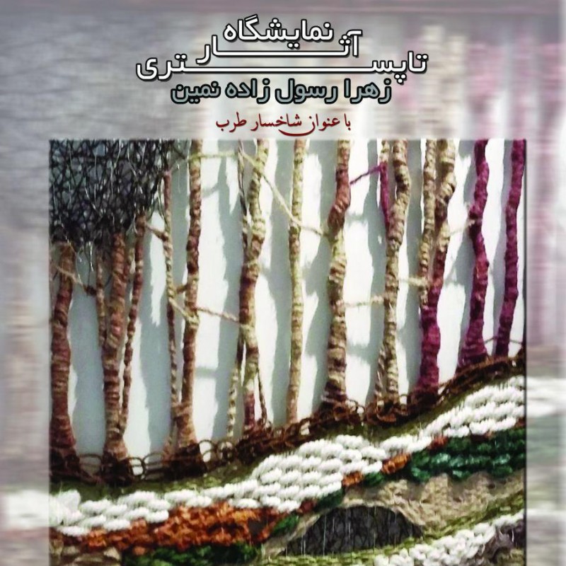 نمایشگاه آثار تاپستری زهرا رسول‌زاده در گالری زرنا گشایش یافت | عکس
