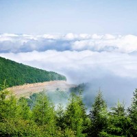 جنگل ابر شاهرود | عکس
